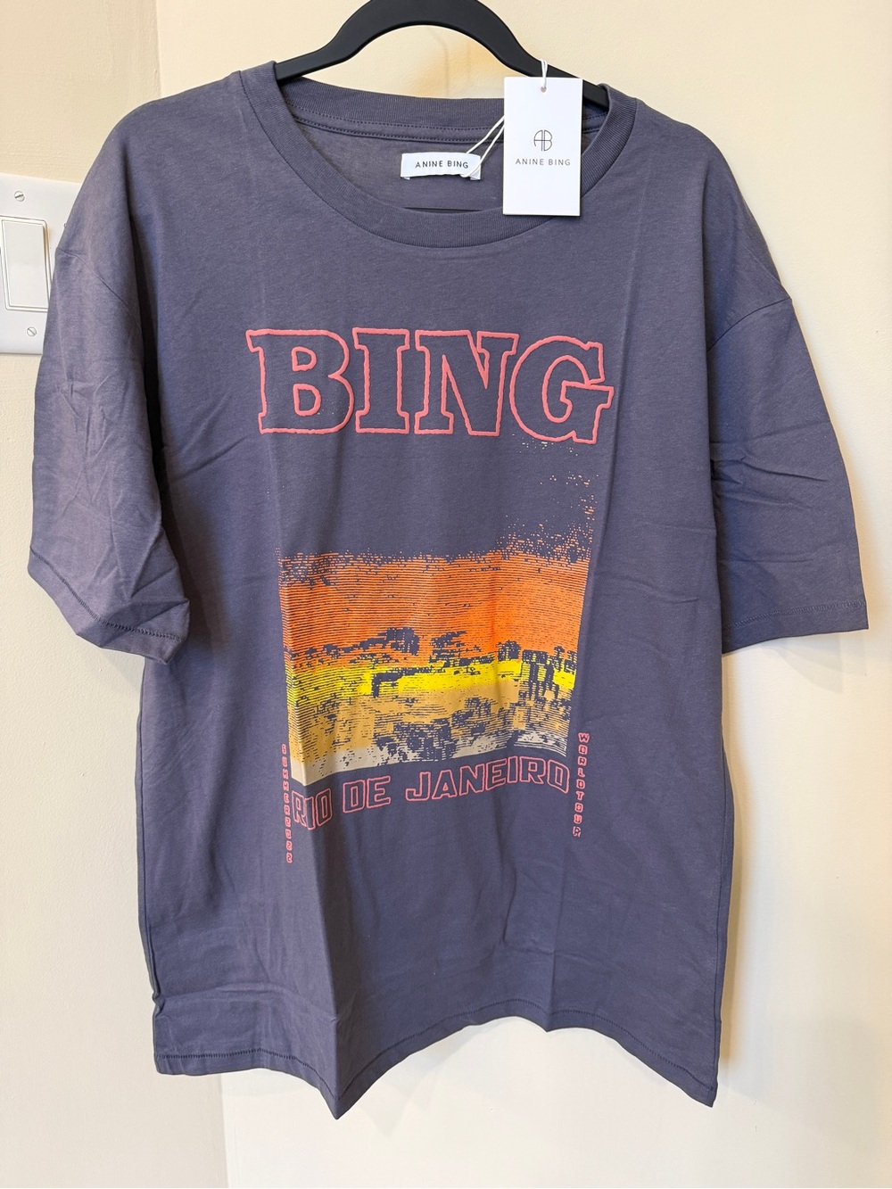 NWT Anine Bing Graphic T-Shirt Closet Cleanout Brand New Casual Tee size L